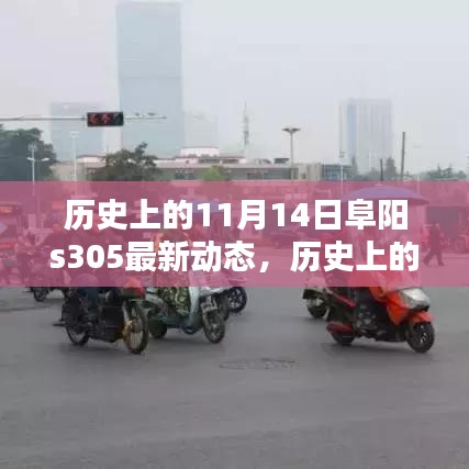 歷史上的11月14日阜陽(yáng)S305最新動(dòng)態(tài)深度解析，聚焦三大要點(diǎn)揭秘最新進(jìn)展與動(dòng)態(tài)更新