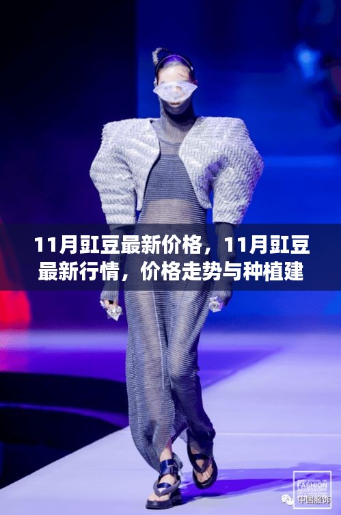 11月豇豆行情分析，最新價(jià)格、走勢(shì)及種植建議