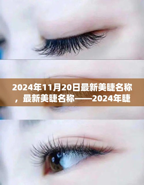 最新美睫名稱揭秘，2024年睫毛美學(xué)的革命性變革