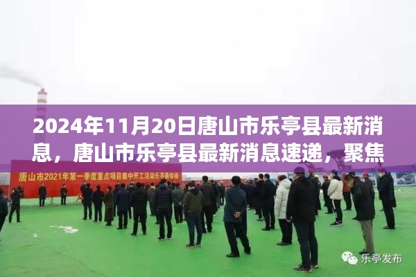 聚焦唐山市樂亭縣發(fā)展動態(tài)，最新消息速遞（2024年11月20日版）