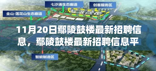 11月20日鄢陵鼓樓最新招聘信息及平臺深度評測，特性、體驗與用戶洞察