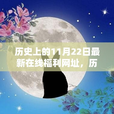 歷史上的11月22日與最新在線福利網(wǎng)址，多方觀點深度探析