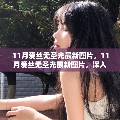 11月愛(ài)絲無(wú)圣光最新圖片，深入評(píng)測(cè)與詳細(xì)介紹