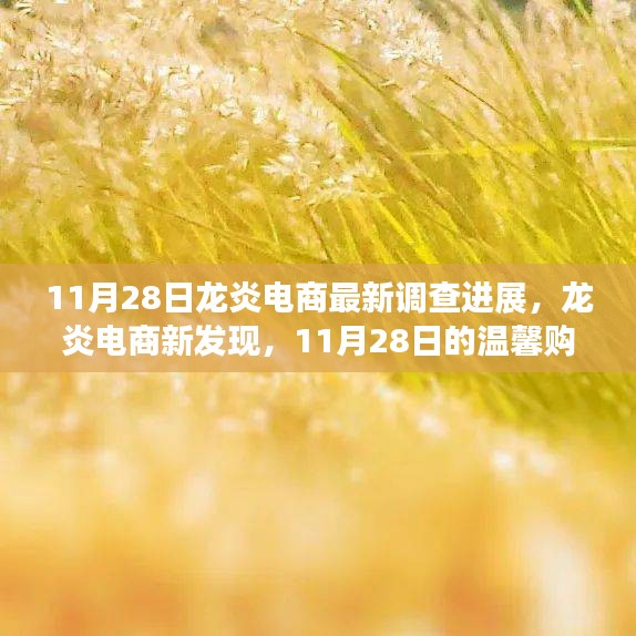 龍炎電商最新調(diào)查進展揭秘，溫馨購物日常故事與最新發(fā)現(xiàn)