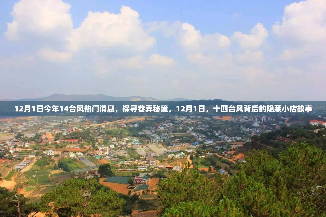 揭秘臺風(fēng)背后的隱藏小店故事，探尋巷弄秘境，臺風(fēng)熱門消息一覽