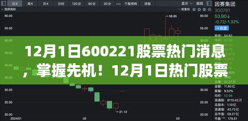 揭秘股市風(fēng)云，以600221股票為例，洞悉股市動(dòng)態(tài)與先機(jī)