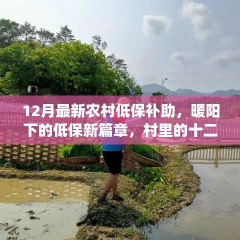 農(nóng)村低保補(bǔ)助新篇章，暖陽下的十二月溫情紀(jì)事