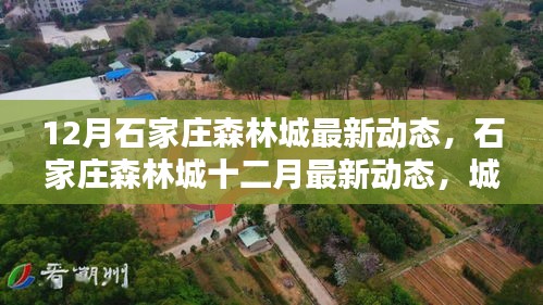 石家莊森林城十二月最新動(dòng)態(tài)，城市綠肺新篇章開(kāi)啟