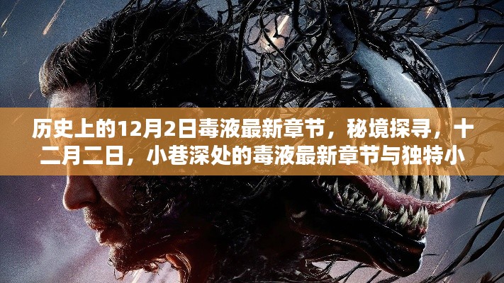 秘境探尋，毒液最新章節(jié)與獨(dú)特小店的奇妙邂逅在十二月二日