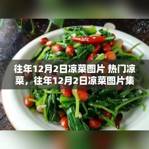 往年12月2日熱門涼菜集錦，揭秘涼菜魅力與圖片解密