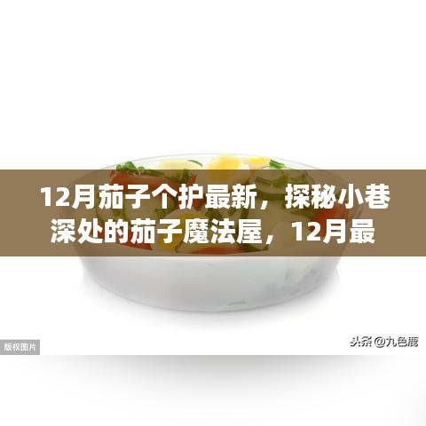 揭秘十二月的茄子護膚秘密，探秘小巷深處的魔法屋，最新茄子個護指南