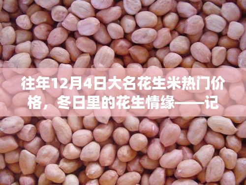冬日花生情緣，探尋大名花生米熱門價格與奇妙之旅