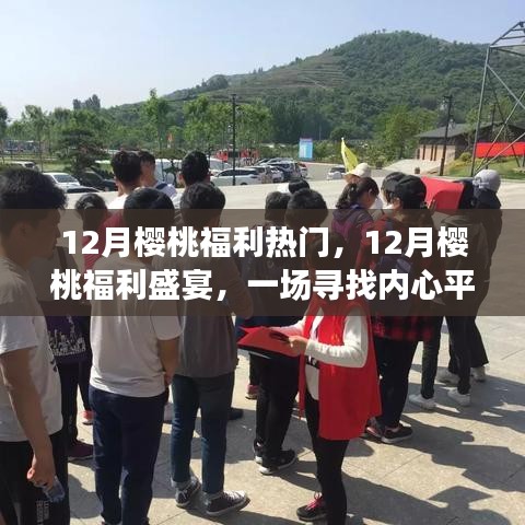12月櫻桃福利盛宴，心靈寧靜的櫻桃之旅