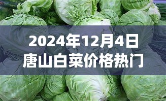 唐山白菜情緣，冬日蔬菜市場(chǎng)的溫情故事與白菜價(jià)格行情解析