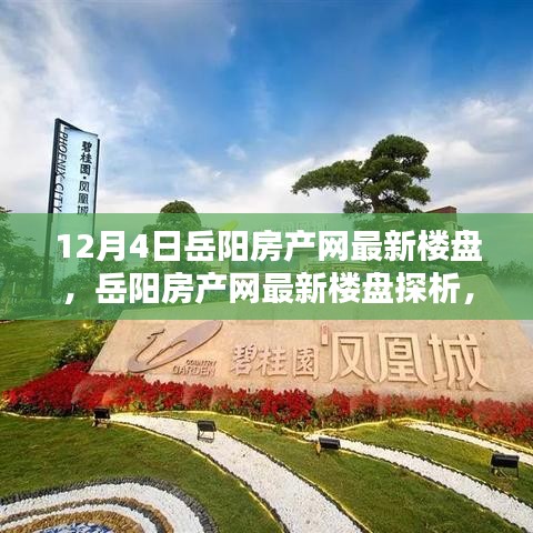 岳陽房產網最新樓盤深度解析，投資價值的探究