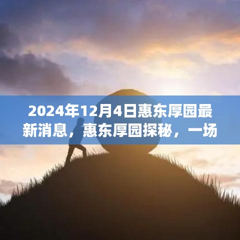 揭秘惠東厚園，自然美景的心靈之旅（最新消息）