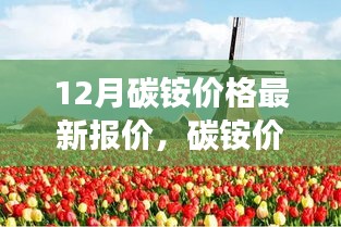 碳銨價(jià)格最新動(dòng)態(tài)，與自然美景相遇，探尋內(nèi)心寧靜之旅