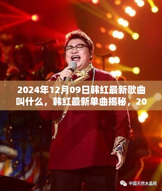 韓紅最新單曲揭秘與全面測評，2024年12月09日之作