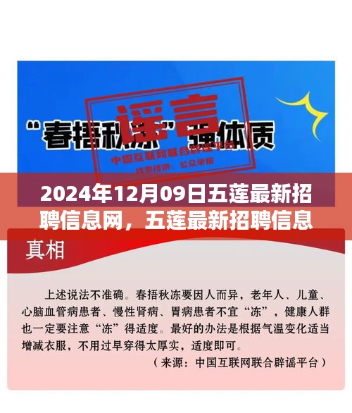 五蓮最新招聘信息網(wǎng)使用指南（初學(xué)者與進(jìn)階用戶適用，發(fā)布日期，2024年12月9日）