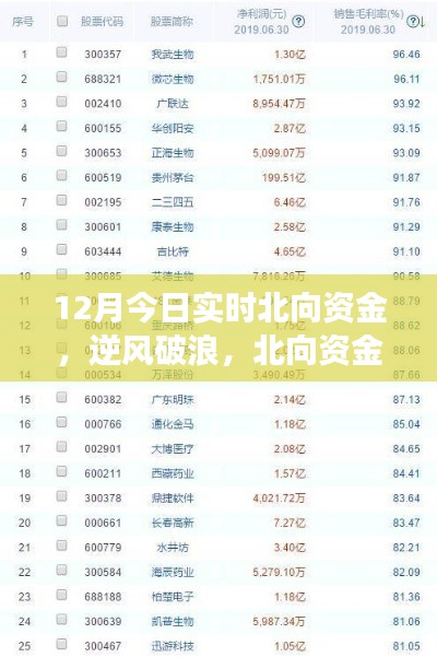 北向資金啟示下的成長奇跡，12月實時洞察，自信成就夢想之旅