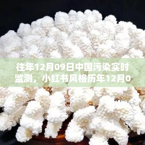 歷年12月09日中國污染實(shí)時(shí)監(jiān)測(cè)，小紅書風(fēng)格下的藍(lán)天綠水守護(hù)共同責(zé)任