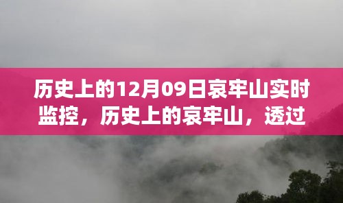 哀牢山歷史監(jiān)控實(shí)錄，透過實(shí)時(shí)影像一窺昔日風(fēng)采