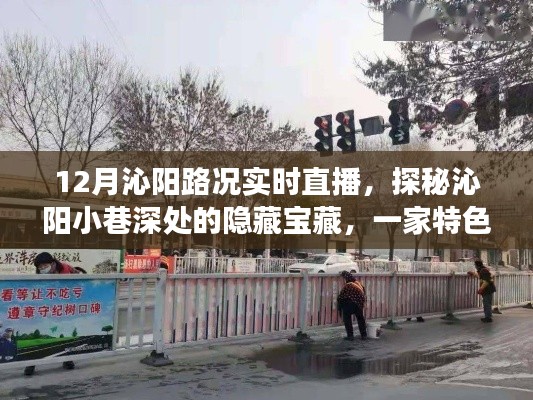 探秘沁陽小巷寶藏，實(shí)時(shí)路況直播啟程，帶你領(lǐng)略獨(dú)特風(fēng)情