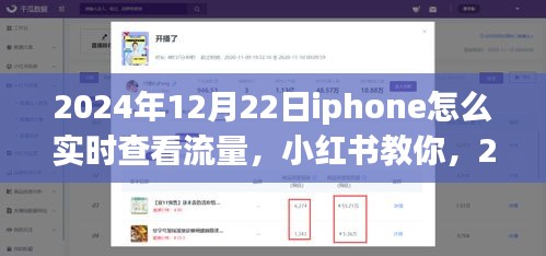 2024年12月22日iPhone實時查看流量教程，小紅書教你如何輕松監(jiān)控流量消耗