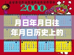 月光下的飛行奇遇，航班實(shí)時(shí)信號(hào)與溫馨的尋友之旅