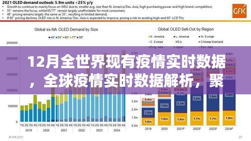 全球疫情實(shí)時(shí)數(shù)據(jù)解析，聚焦12月疫情動態(tài)與動態(tài)變化
