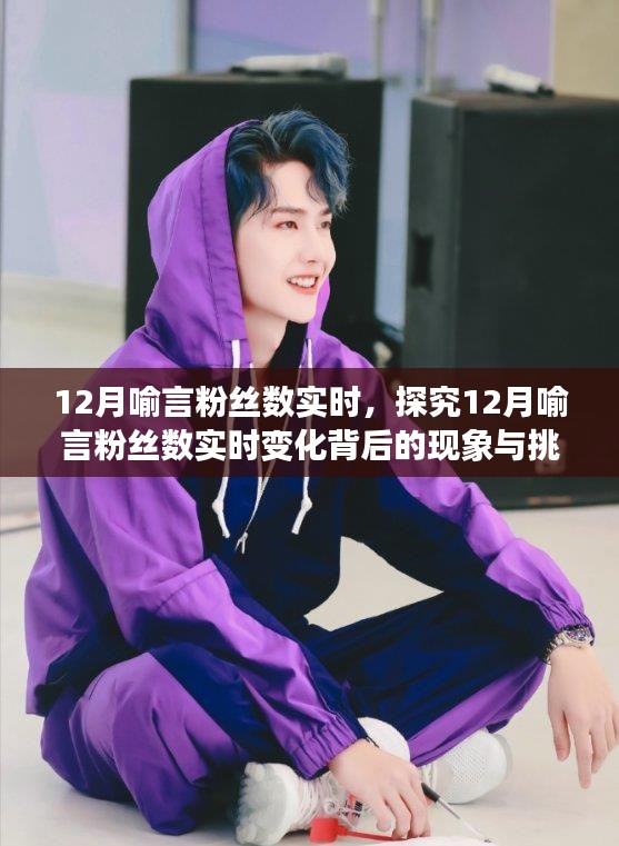 探究喻言粉絲數(shù)實時變化背后的現(xiàn)象與挑戰(zhàn)，12月粉絲增長分析