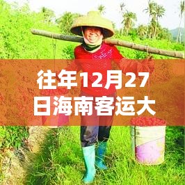 海南客運大巴車實時查詢系統(tǒng)，歷史軌跡與時代意義回顧（往年12月27日實時查詢）