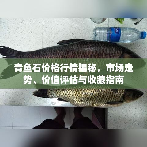 青魚石價格行情揭秘，市場走勢、價值評估與收藏指南