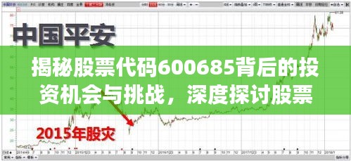 揭秘股票代碼600685背后的投資機(jī)會與挑戰(zhàn)，深度探討股票交流心得分享