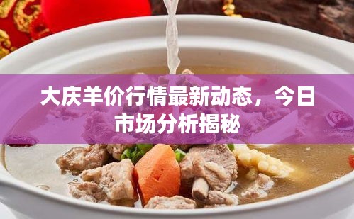 大慶羊價(jià)行情最新動(dòng)態(tài)，今日市場(chǎng)分析揭秘