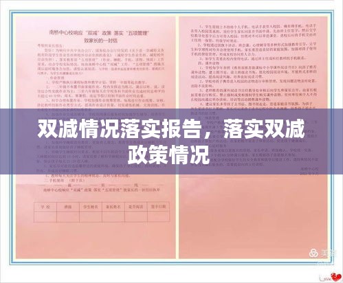 雙減情況落實(shí)報(bào)告，落實(shí)雙減政策情況 