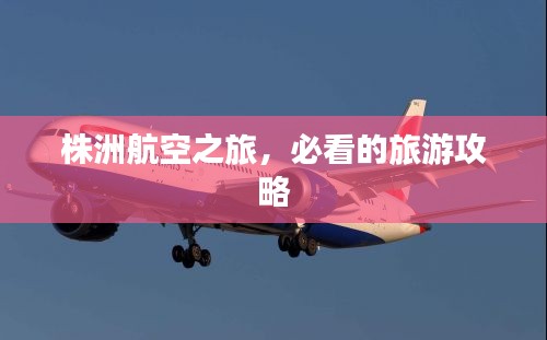 株洲航空之旅，必看的旅游攻略