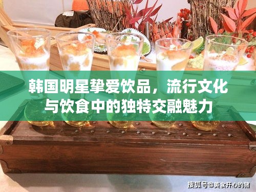 韓國明星摯愛飲品，流行文化與飲食中的獨(dú)特交融魅力