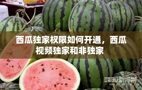 西瓜獨家權限如何開通，西瓜視頻獨家和非獨家 