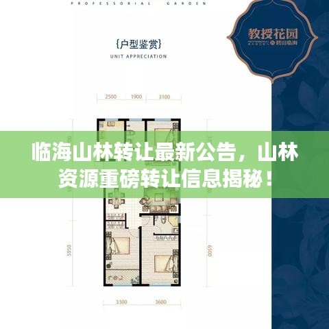 臨海山林轉(zhuǎn)讓最新公告，山林資源重磅轉(zhuǎn)讓信息揭秘！