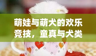 萌娃與萌犬的歡樂(lè)競(jìng)技，童真與犬類互動(dòng)的美好瞬間視頻