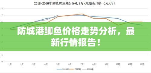 防城港鯽魚價(jià)格走勢(shì)分析，最新行情報(bào)告！