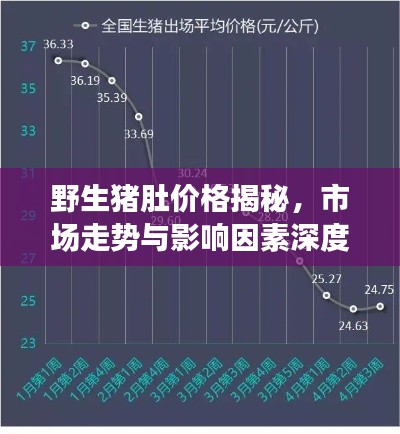 野生豬肚價(jià)格揭秘，市場(chǎng)走勢(shì)與影響因素深度解析