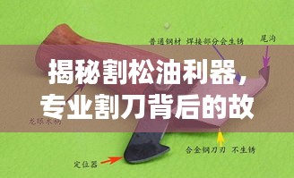 揭秘割松油利器，專業(yè)割刀背后的故事探秘