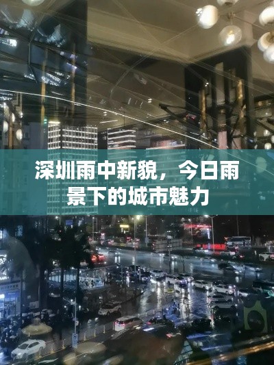 深圳雨中新貌，今日雨景下的城市魅力