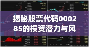 揭秘股票代碼000285的投資潛力與風(fēng)險控制策略，股票深度解析