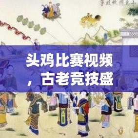 頭雞比賽視頻，古老競技盛宴再現(xiàn)輝煌！