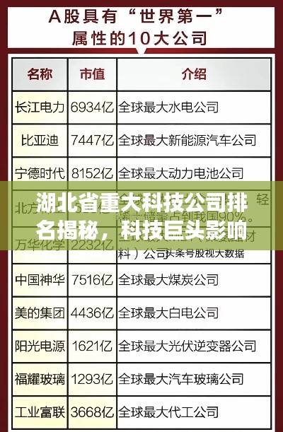 湖北省重大科技公司排名揭秘，科技巨頭影響力與實(shí)力解析