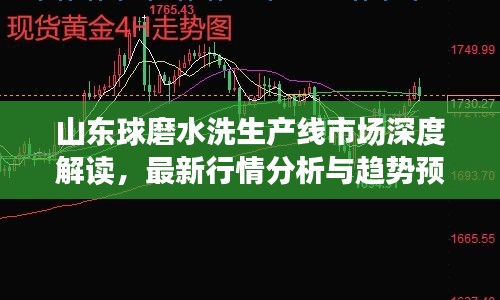 山東球磨水洗生產(chǎn)線市場深度解讀，最新行情分析與趨勢(shì)預(yù)測(cè)