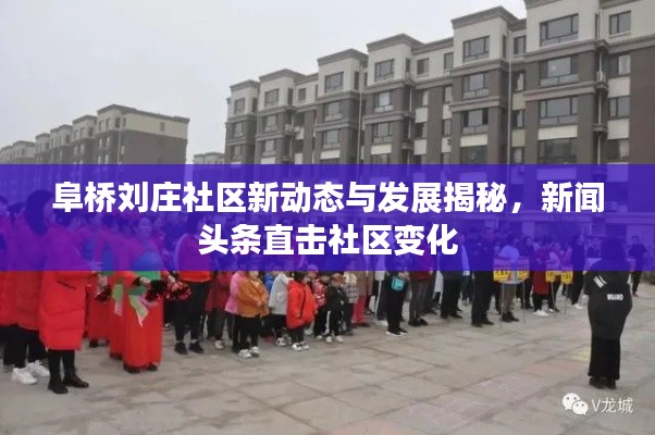 阜橋劉莊社區(qū)新動態(tài)與發(fā)展揭秘，新聞頭條直擊社區(qū)變化